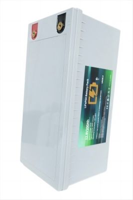 Batterie au lithium antidéflagrante LifeP04 200AH avec BMS intégré