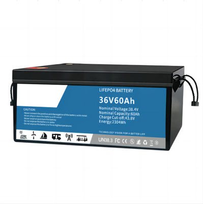 La batterie IP55 de phosphate de fer de lithium de Multiscene EV imperméabilisent avec BMS