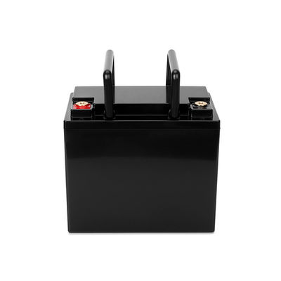 Plus grande batterie antipoussière de Lifepo4 Ebike BYD 2560WH avec Matt Black Shell